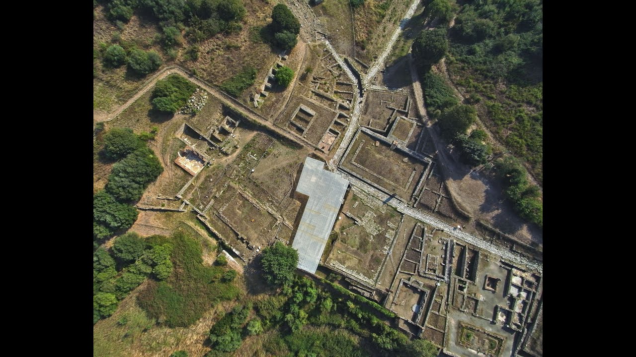 Alla scoperta di Roselle