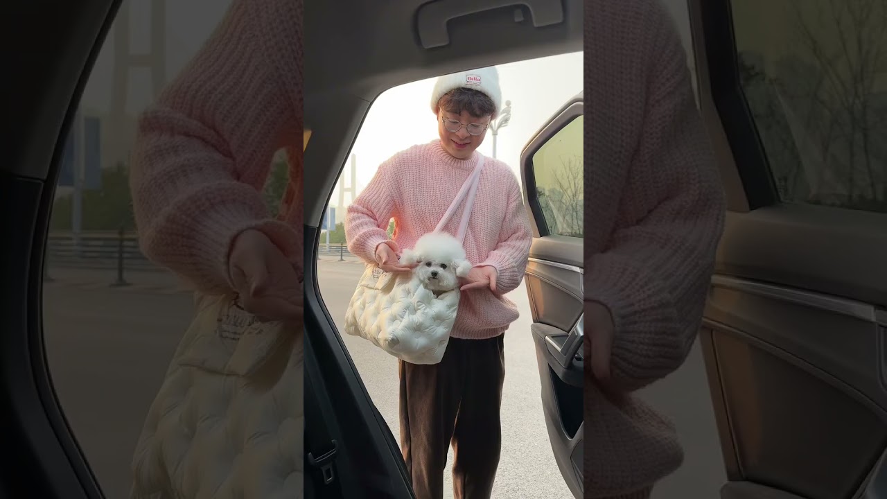 My Dog's Exciting Spring Festival Adventure