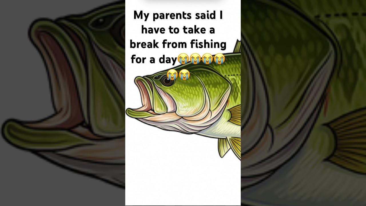 Fish - YouTube