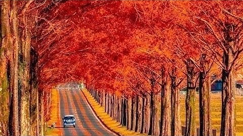 Lecture 34 Short lecture 34