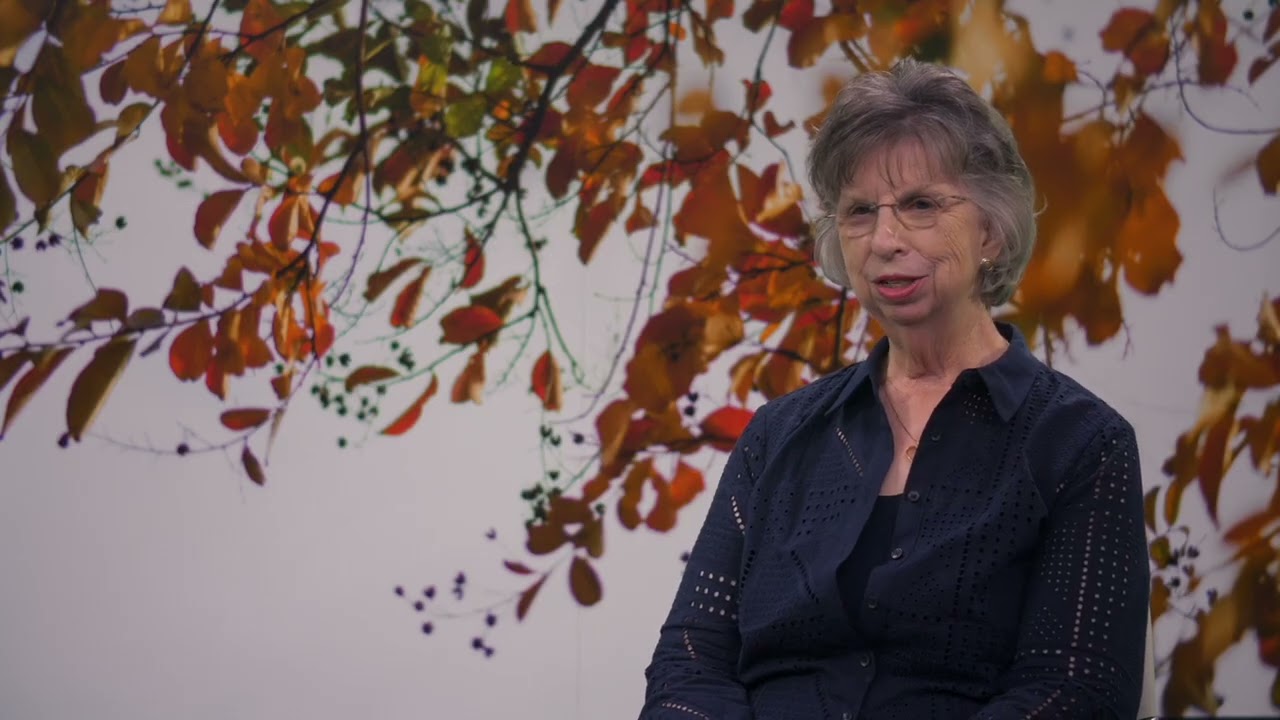 Why are The Texas Collection and University Archives important?