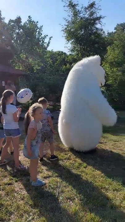 Белый медведь гигантский Мишка Тедди 3 метра Экспресс поздравления Киев ...