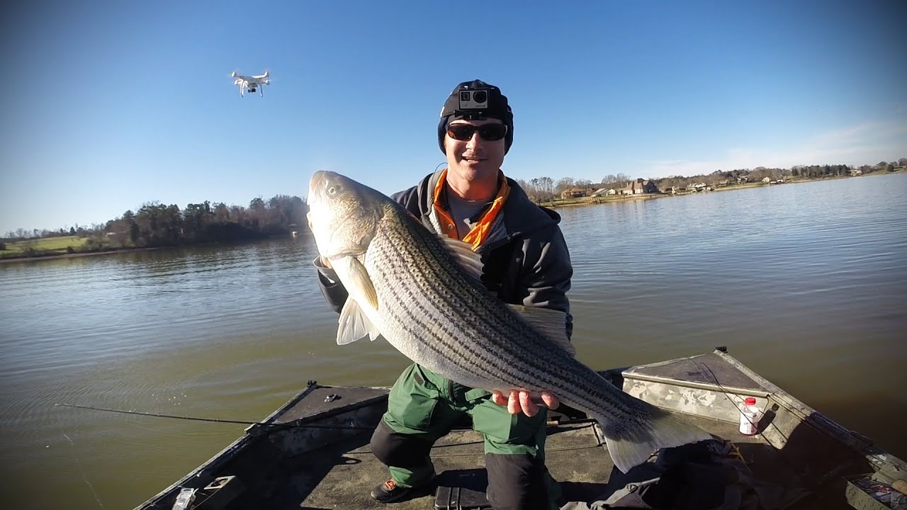 EastTNFishing Dual 30 lb Striped Bass Melton HIll Bill Dec. 2015