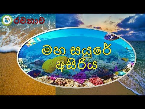 essay about beach in sinhala