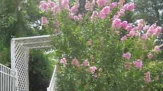 1634 Massachusetts Ave Marietta Ga 30008.wmv