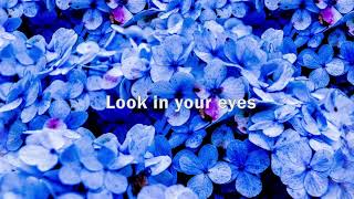 nothing, nowhere. - Hydrangeas (feat. Darcy Baylis) Slowed & Reverb + Lyrics