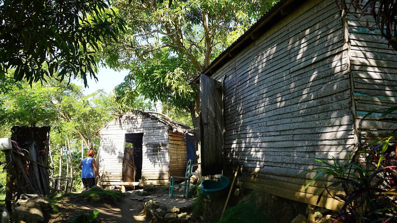 Socorro Vive Solo en la Montaña, Vamos a llevarle su Navidad, La Vida del Campo