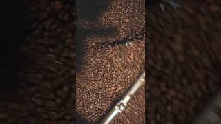 Coffee Beans | Stock Shots | 😀 #shorts