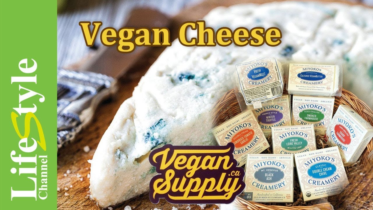 Exploring the Best Vegan Cheese Alternatives for Lactose Intolerance