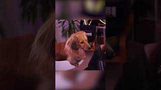 She Has So Much To Say