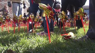 Pinwheels planted at Wexner Medical Center represent lives saved by organ donation