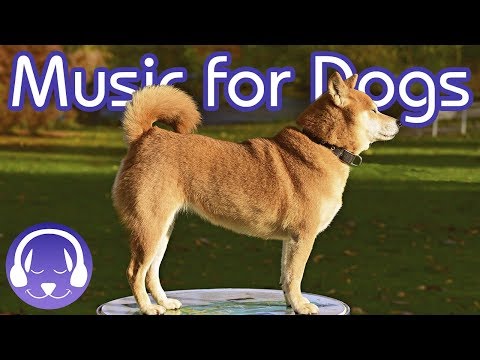 soothing classical music for dogs