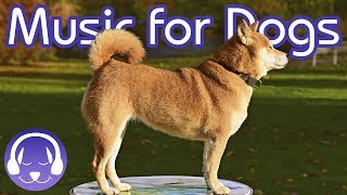 Soothing Classical Music for Dogs - Relax Your Dog with 15 Hours of Lullabies!