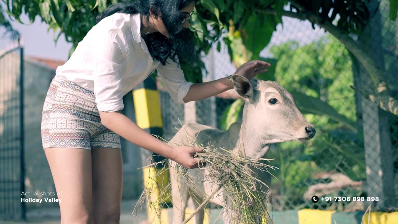 Holiday Valley Farm Plots