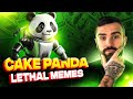 Cake Panda Is Bringing Lethal Memes! (You DON'T Want To Miss This) BSC GEM, (100X CRYPTO?)