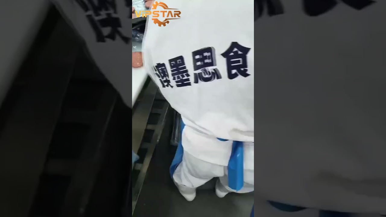 Fully automatic hamburger patty machine