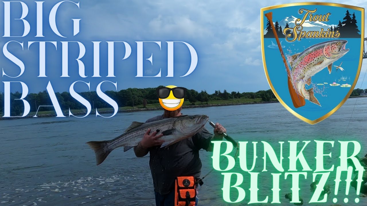 CAPE COD CANAL big stripers on GLIDERS!!! (CRAZY BUNKER BLITZ!!!) 