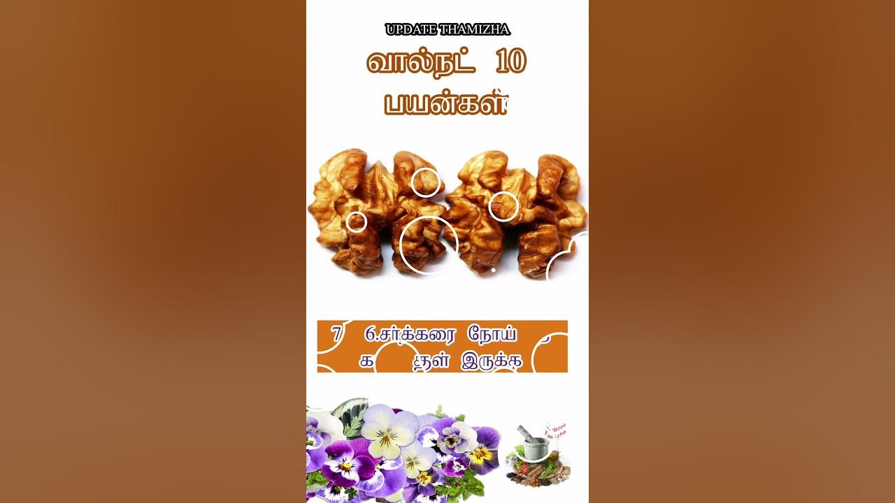 வால்நட் 10 பயன்கள் Walnut 10 Benefits in Tamil YouTube