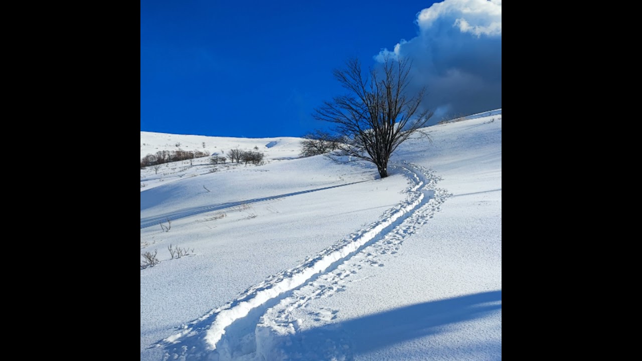 #001　霧ヶ峰もふもふ