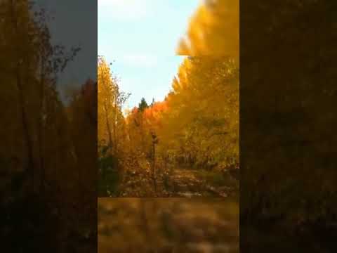 Начало осени