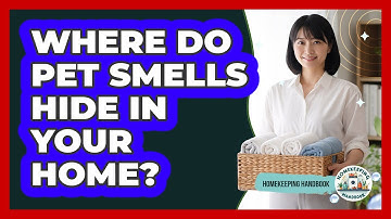 Where Do Pet Smells Hide In Your Home?