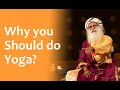 Why You Should Do Yoga? | Sadhguru Time