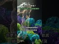 4. 你對麩質的了解,是真是假?🤯 這部片將顛覆你的認知! #麩質 #無麩質飲食 #麩質敏感 #乳糜瀉 #飲食迷思 #健康飲食 #營養學 #飲食潮流 #科學真相 #身體健康