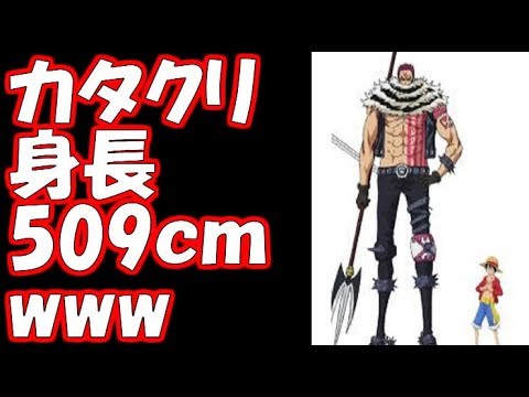 コンプリート カタクリ ワンピース 身長 秋 ワンピース