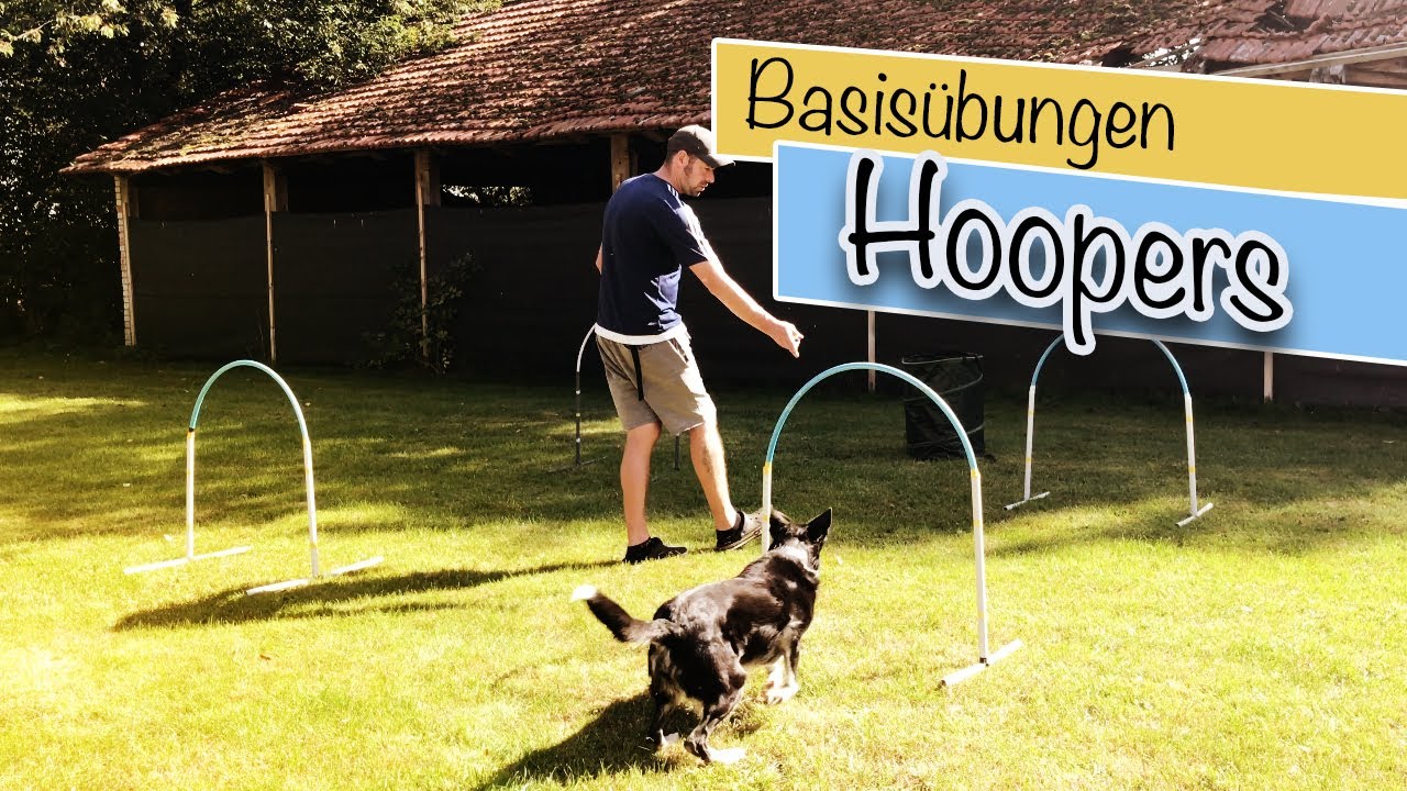 Hoopers Agility Basistraining [Hundeschule und Hundetraining Online