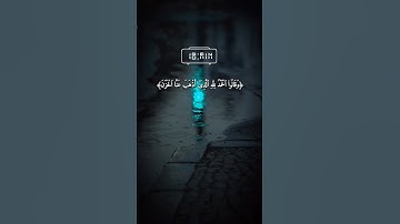 سعد الغامدي/راحة النفسيه/تلاوة خاشعة يخشع له القلب 🍒❄️🍒🤲🍒✍️