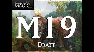 M19 Core Set 2019 Draft #36