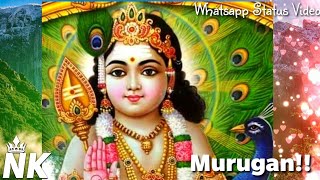 Thiruchendur Murugan || Whatsapp Status || Nila's Kitchen #Shorts