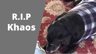 R.I.P. Khaos