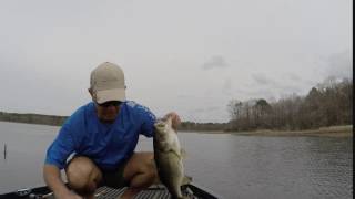 Seminole KVD caffeine shad June 2016 CB screenshot 5