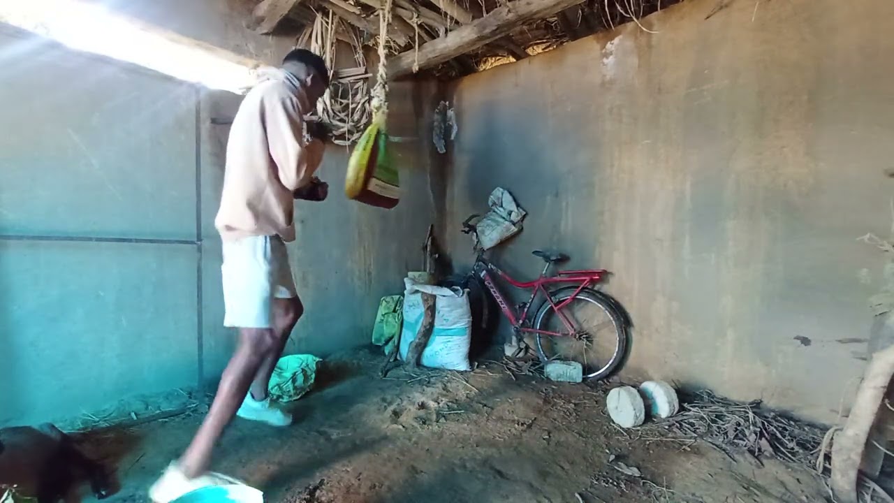 "Boxing Training at Home 🥊 | No Equipment, No Excuses