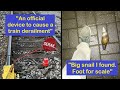 Mildly Fascinating Things People Came Across And Couldn’t Keep To Themselves | Happy And Fun