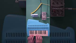 🐦🎵 with the Chase Bliss Onward pedal.