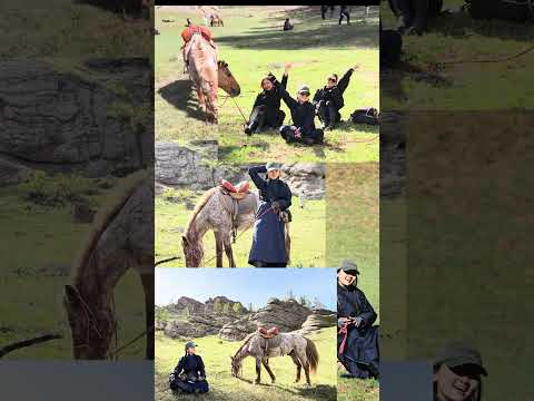 평범한 몽골인이 테엘지 승마여행 가면?