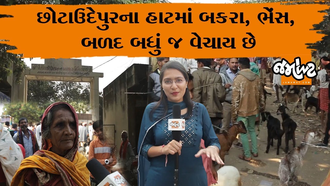 આવુ બજાર તમે ક્યાંય નહીં જોયુ હોય| Chhotaudepurનું અર્થતંત્ર અલગ જ છે|લોકો બકરાં શું કામ વેચે છે જુઓ