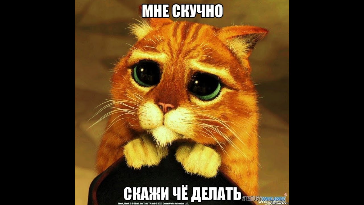 Скучно дома фото Скучно дома фото