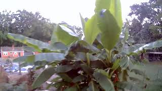 IMG 6645