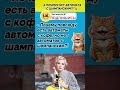 Самые смешные анекдоты😆 #шутки #юмор#анекдоты #приколы #смех