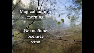 Magical autumn morning Волшебное осеннее утро