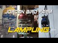 5 BURUNG PERKUTUT BANGKOK JORDAN BIRD FARM LAMPUNG