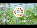 6月9日発売 野菜生活100 本日の逸品 宮崎マンゴーミックス