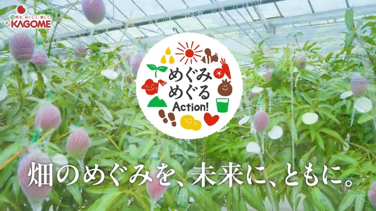 6月9日発売 野菜生活100 本日の逸品 宮崎マンゴーミックス