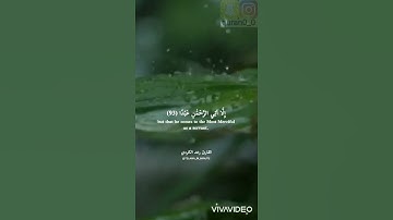القارئ رعد الكردي" سورة مريم"🌼
