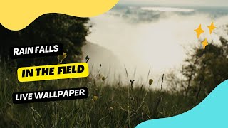 Rain Falls in the Field / Live Wallpaper