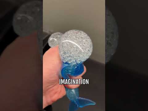 WHATS INSIDE A DOLPHIN