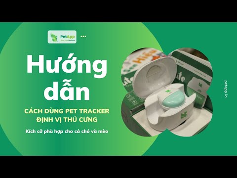 Video: Pet Talk: Bắt thú cưng của bạn Microchipped